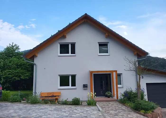 Fewo Am Neckarsteig Mit Anbindung An Heidelberg
