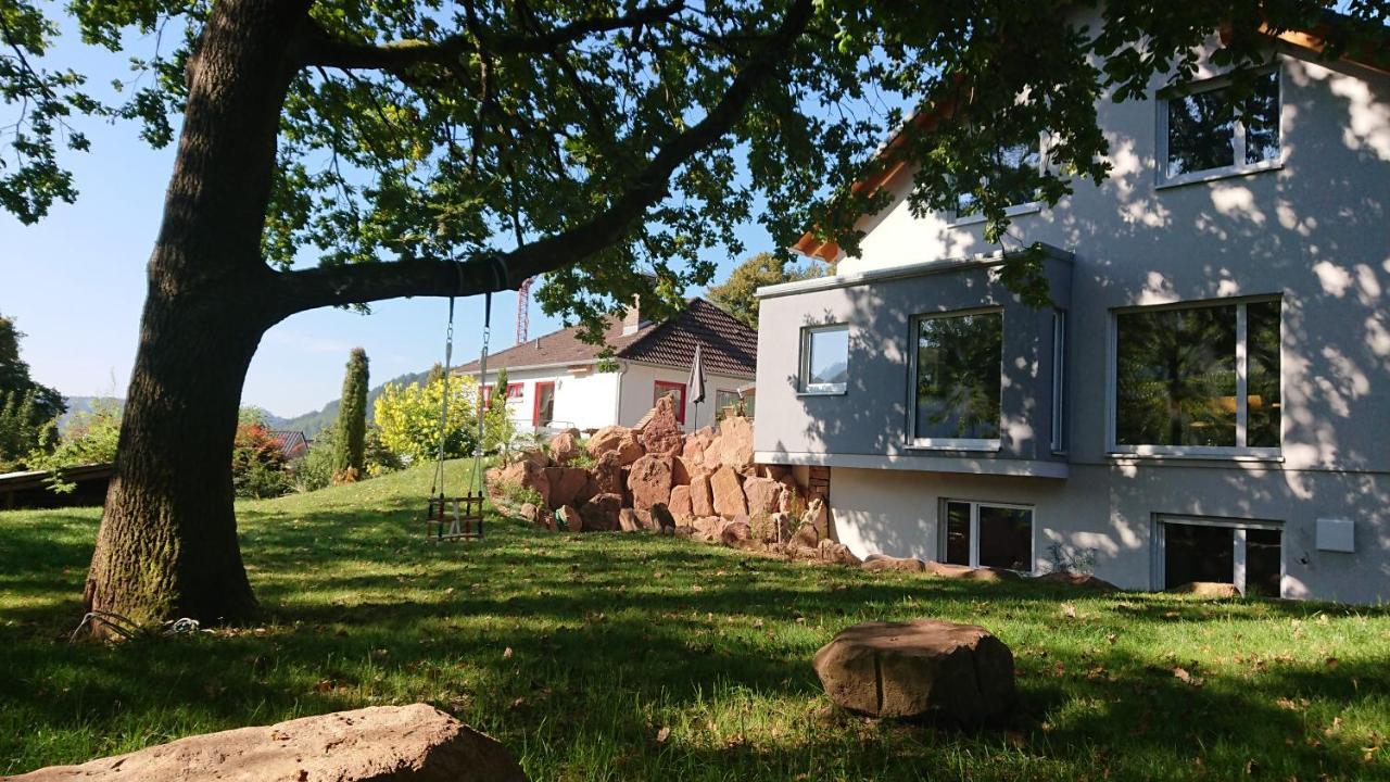 Am Neckarsteig Mit Anbindung An Heidelberg Apartment Neckarsteinach