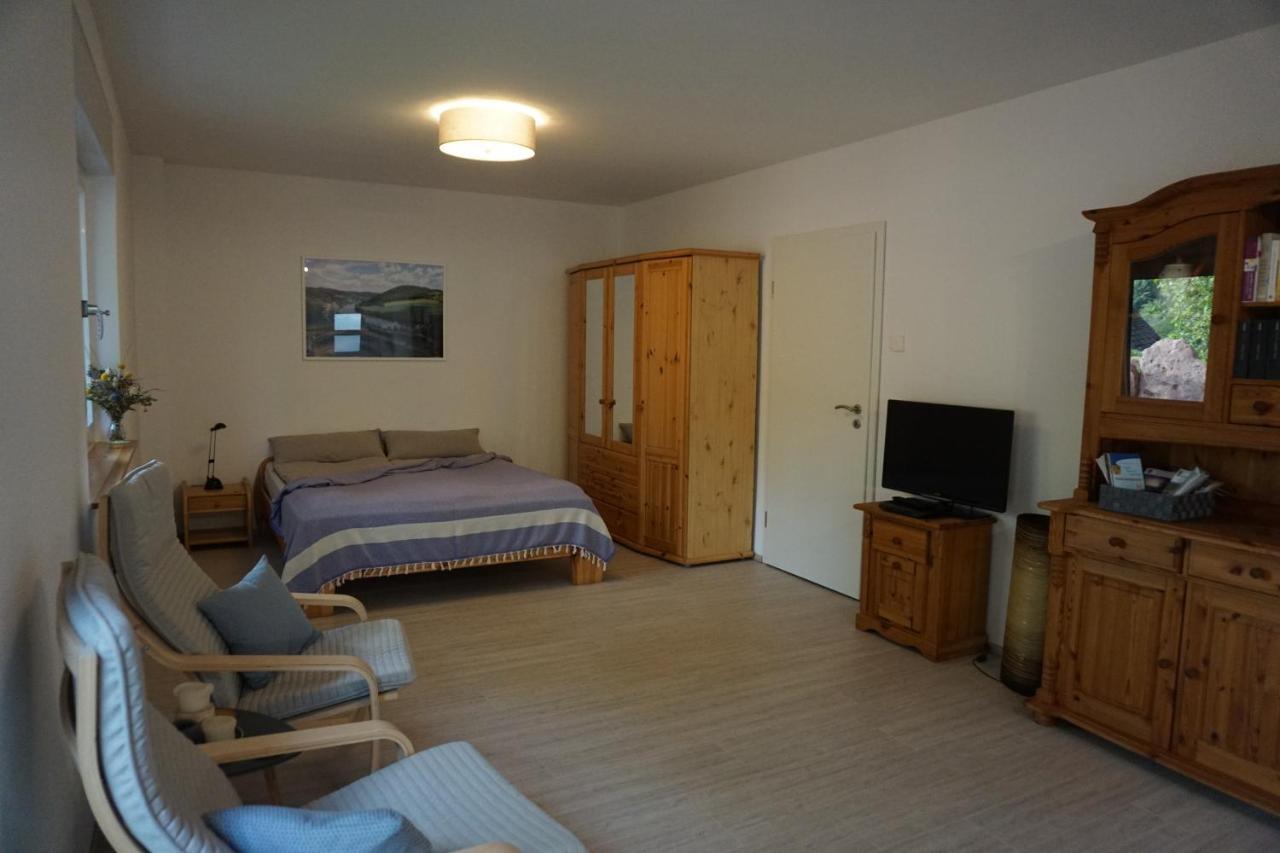 Apartment Am Neckarsteig Mit Anbindung An Heidelberg Neckarsteinach