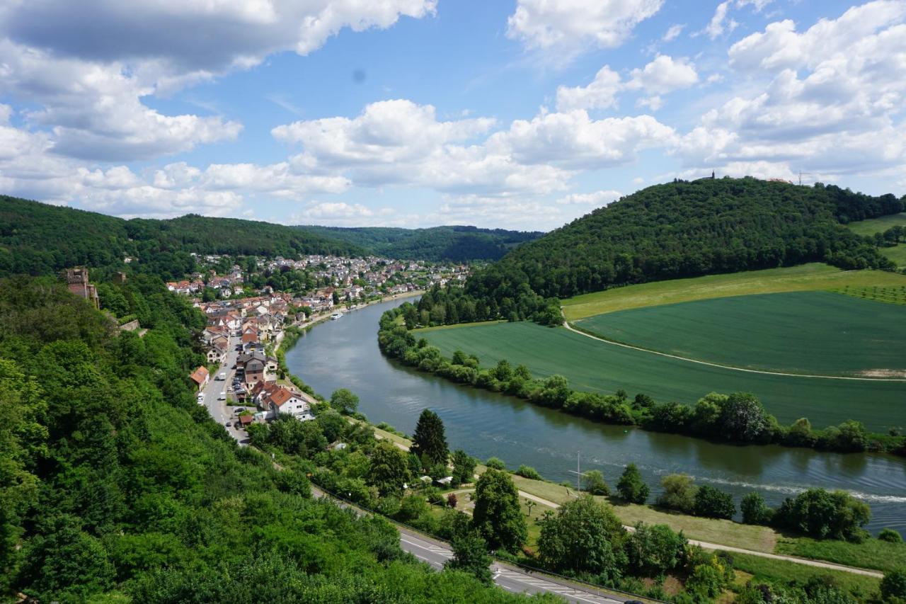 Am Neckarsteig Mit Anbindung An Heidelberg Apartment Neckarsteinach