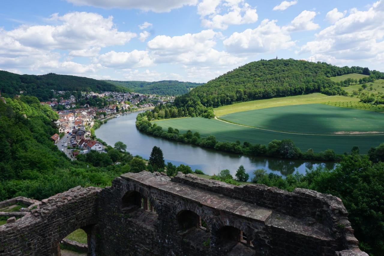 Am Neckarsteig Mit Anbindung An Heidelberg Apartment Neckarsteinach