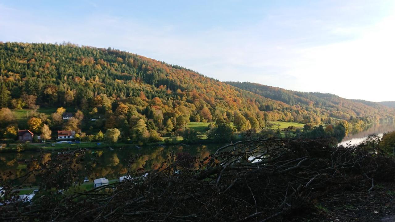 Am Neckarsteig Mit Anbindung An Heidelberg Appartamento *