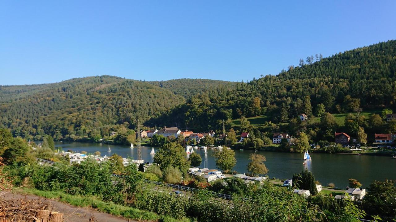 Am Neckarsteig Mit Anbindung An Heidelberg *