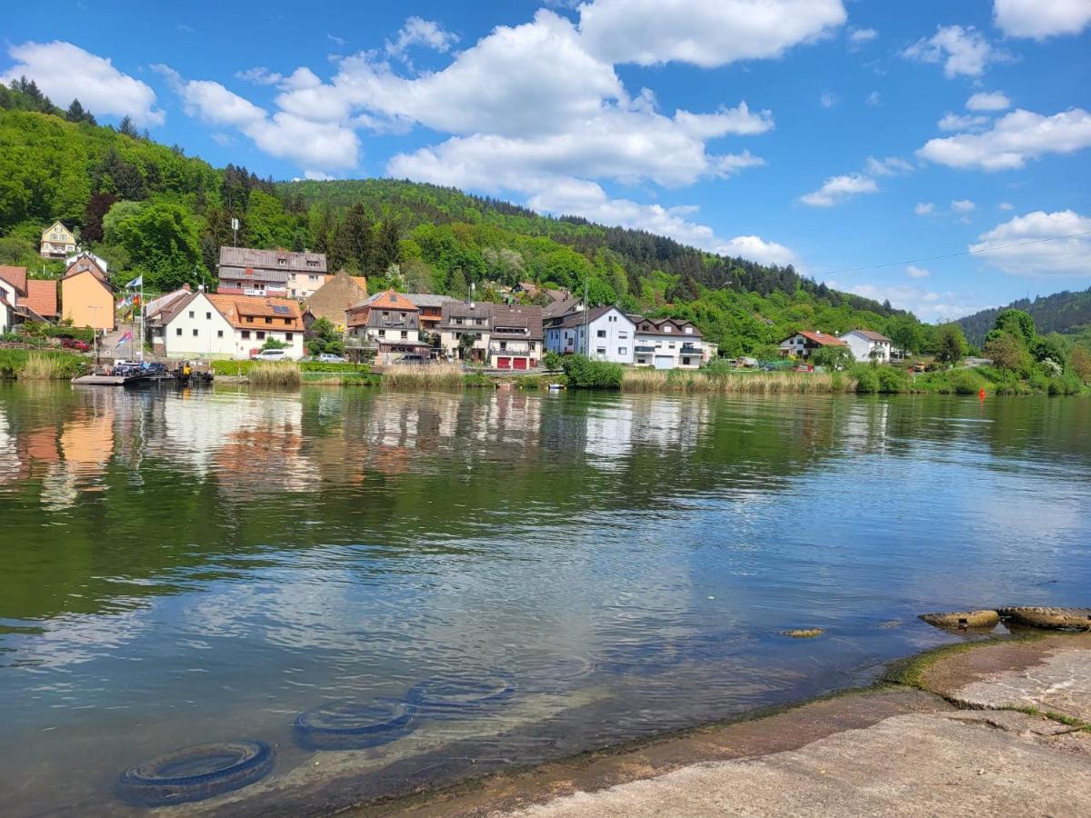 Am Neckarsteig Mit Anbindung An Heidelberg Apartment