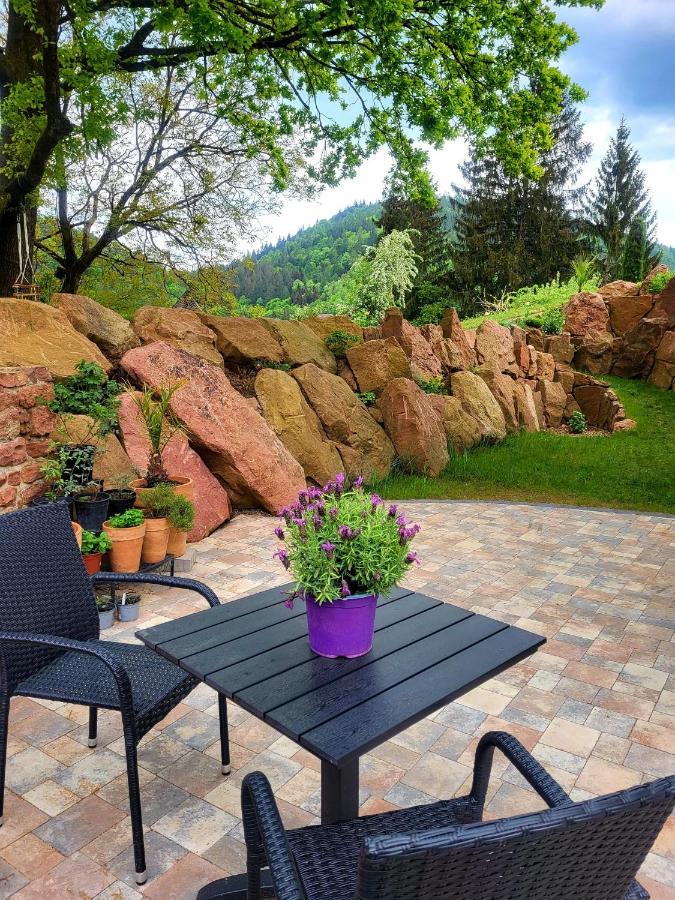 Am Neckarsteig Mit Anbindung An Heidelberg Apartment Neckarsteinach