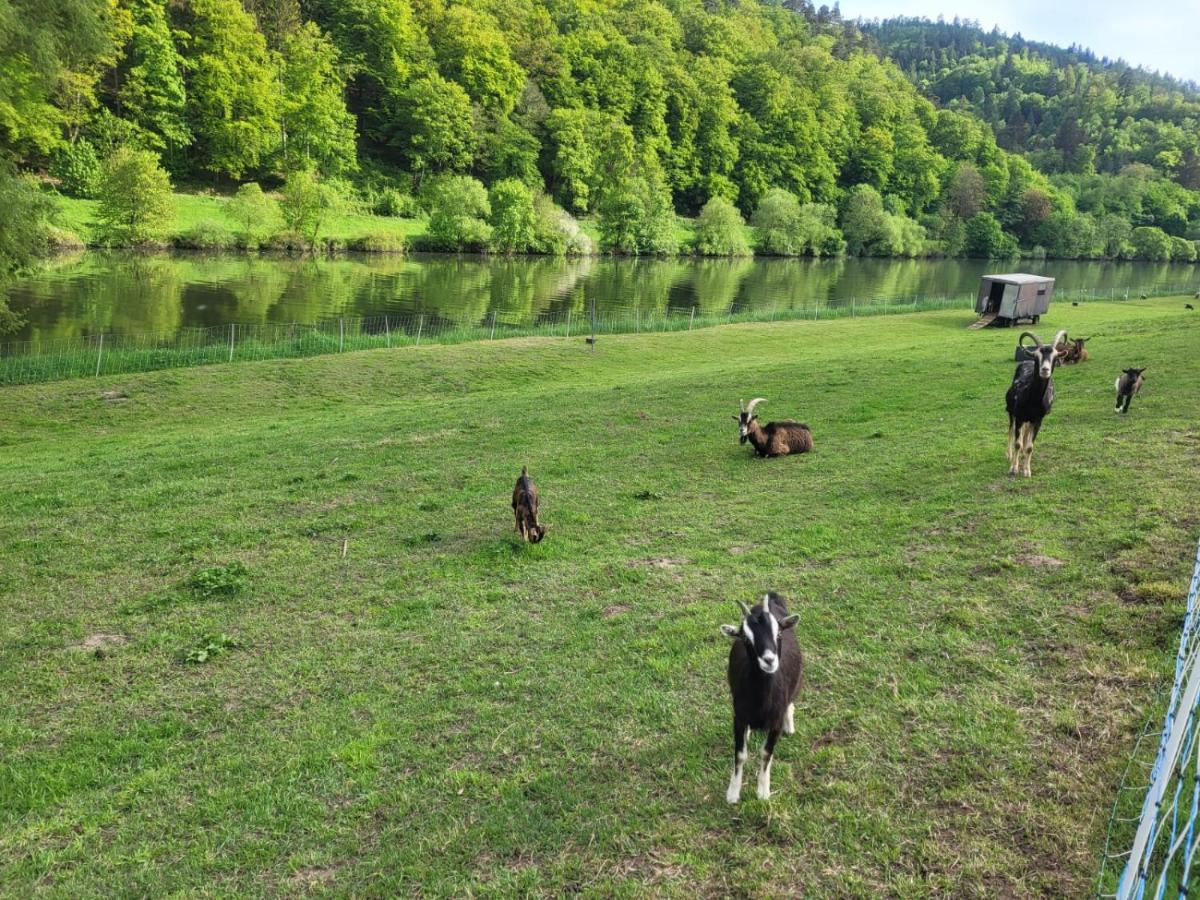 Am Neckarsteig Mit Anbindung An Heidelberg *