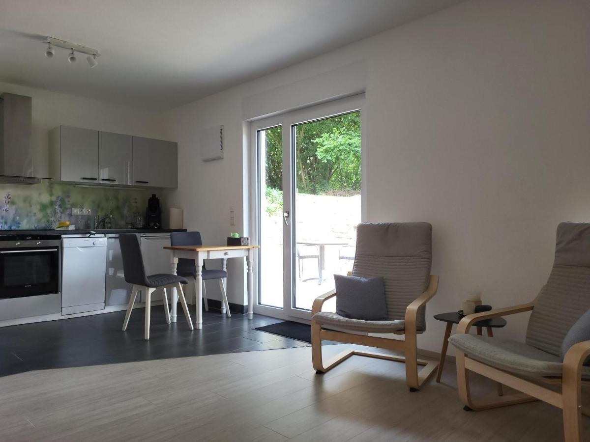 Apartment Am Neckarsteig Mit Anbindung An Heidelberg Neckarsteinach
