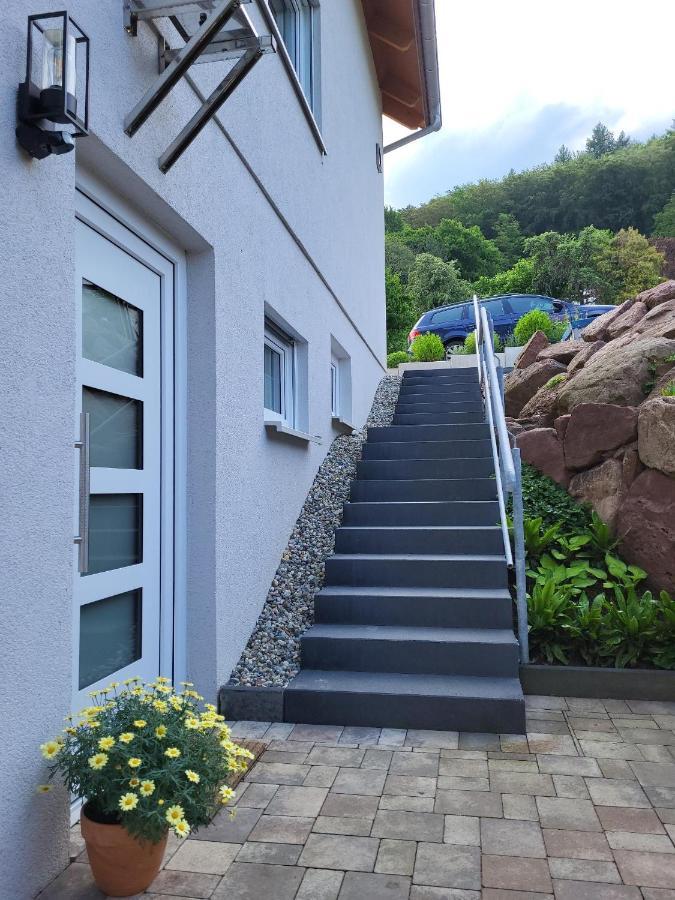 Am Neckarsteig Mit Anbindung An Heidelberg Apartment *