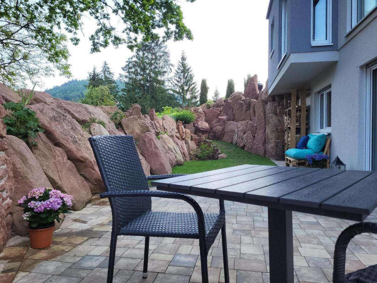 Apartment Am Neckarsteig Mit Anbindung An Heidelberg Neckarsteinach